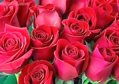 Gay porn, bangladeshi, boyfriends