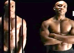 Solo: The Secret World of Shy Rob