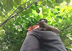 Outdoor jerking and balls play