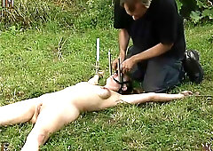 Insex - Live At The Farm