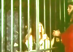 Rites of Uranus - The Cinema Snob