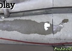 Asian hos watched pissing