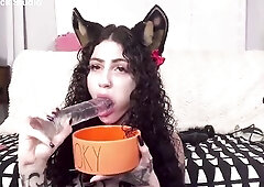 Puppy Hotty sloppy unfathomable mouth tail screwing anal bang machine