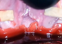 Lady Shock - Wax Play