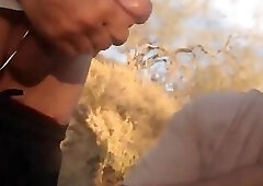 Cruising Stranger's Afternoon