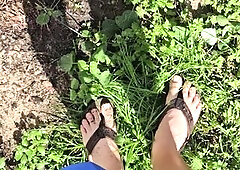 Aaron Skeetman Pissing In The Golden Sun After Tending The Garden