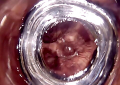 Glass Butt Plug Inside Look V2