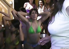 Teen Harlots get Hazed