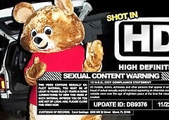 The Bear in the House!