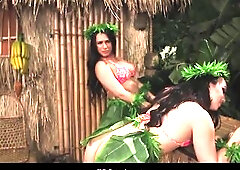 Gilligan's Trans Adventures - A Parody - Scene two