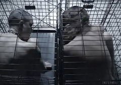 These Ladies Are About To Get Punished