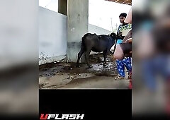 Shlong Flash To Cute Lady Part-two