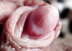 Extraordinary Closeup On My Massive Palpitating Clitoris Head