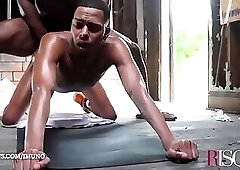 Risque - Imuno & Pisan Dreams