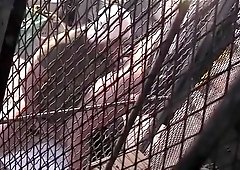 Hottest male pornstar in exotic amateur, group sex homo xxx movie