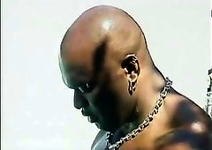 Black stud bangs white dude ass hole