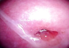 Camera in Cunt cumming, cervix palpitating, climax contractions, gfe raw talk, bts - My Muse Part 5