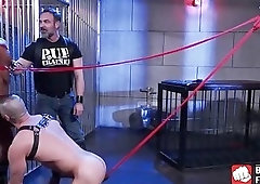 Hunk dominates two studs and makes them pleasure each other