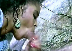 Ebony Chick with Worthy Melons Gets Her Bushy Twat Pounded in the Garden