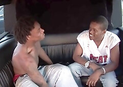 Gay porn, faphouse, dt
