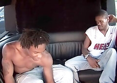 Gay porn, faphouse, dt