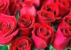 Bangla choto golpo beautiful mature saree chachi cheating hasband full story in Bangla audio story