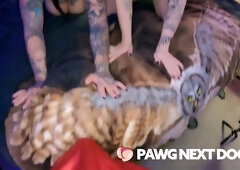 Big Tit Pawgs Take Turns Sucking And Blowing Bbc - Sabien Demonia
