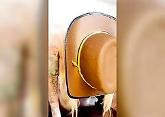 Trans vibrator rider! Cowboy!