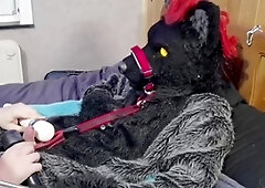 Male, leash, murrsuit