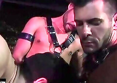 Alphamales - We want your hole!