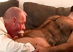 Older guy becomes this bear's feast