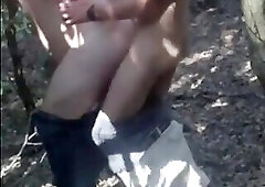 In a Neighboring Forest 1