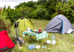 Four chicks are having lots of fun on top of a mountain