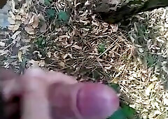 helping hand in park 2