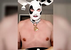 I'm a hungry plump luscious Hucow! And I love two be fed! Will u feed me untill I'm full? I love food during sex so much, it makes me so las