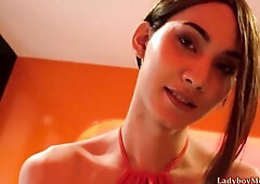 The Tugjob And Bareback Anal Action With Ladyboy Prem