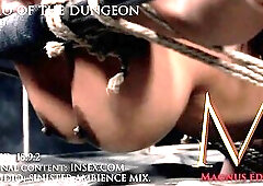 Echo of the Dungeon : Magnus Edits