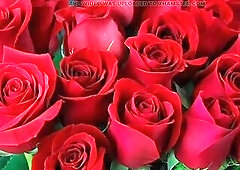 Bangla choto golpo Bangla audio story new bangla choti golpo full story Bangla choti story sex