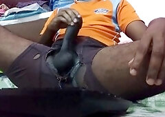 Solo, shower, big bears