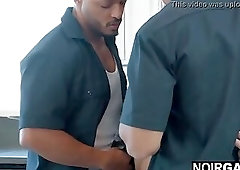 Black plumbers fixing white guy's clogged pipe