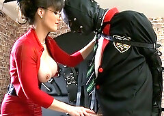 Mature brunette hookup amateur milf gives blowjob