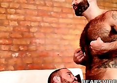 Horny Atlas Grant fucks bear Mathieu Angel after blowjob