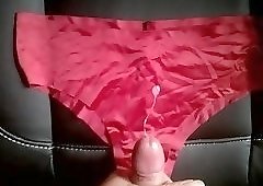 cumming premature on my wife's panties