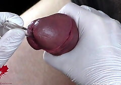 Ideal extraction of jizz directly from the urethra. Close-up of the glass straw sounding.