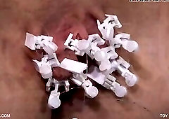 Toy Car Holly Queensnake com Queensect com