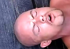 German sandwich with blonde at biotope