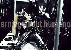 Learning about humanoids