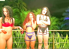 Three women and a man unleash wild passions outdoors with toys in the steamy night