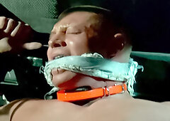 The Wildcats Suck - Part 1 - Beau Sinclair & Dire Callahan