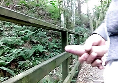 Man with Gigantic Saucy Knob Faps Off in Stellar Place and Risks Being Seen